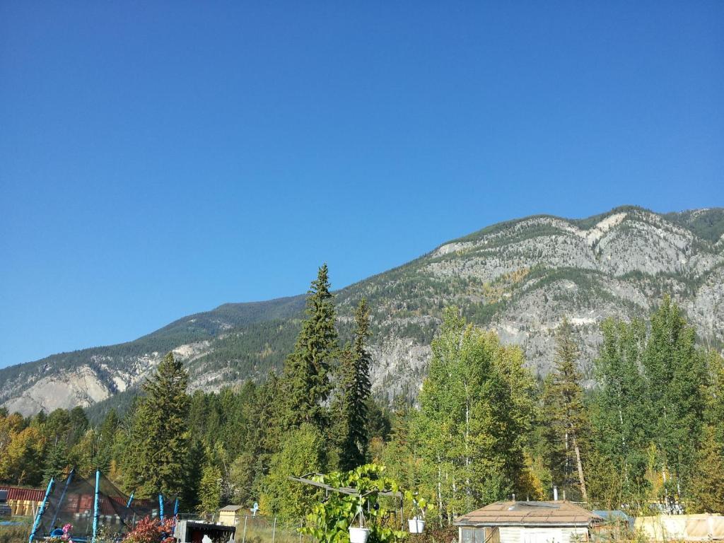 Steamboat Mountain Chalets Hotel Spillimacheen Luaran gambar
